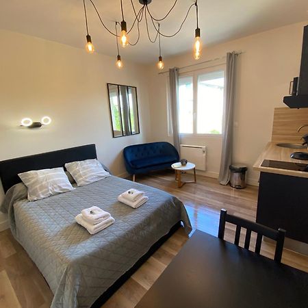 Au 3 Rue Manhes Apartment Алби Екстериор снимка