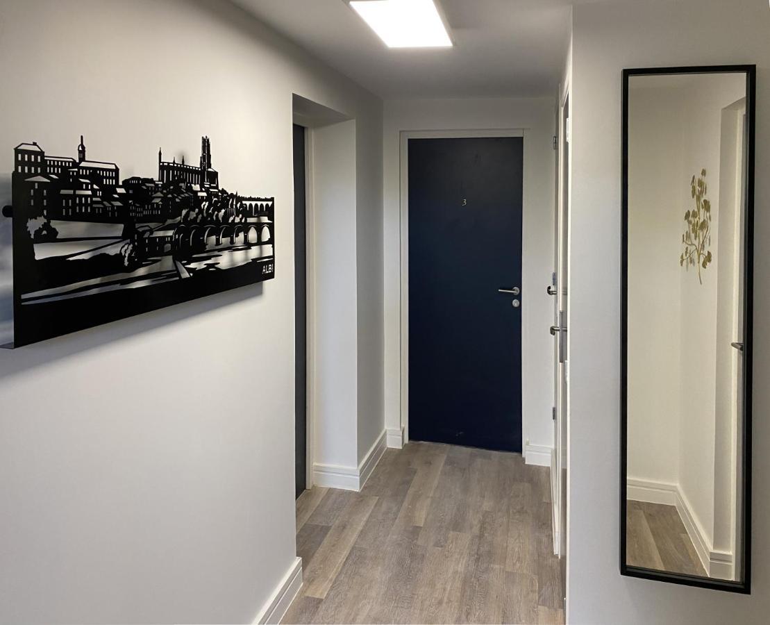 Au 3 Rue Manhes Apartment Алби Екстериор снимка
