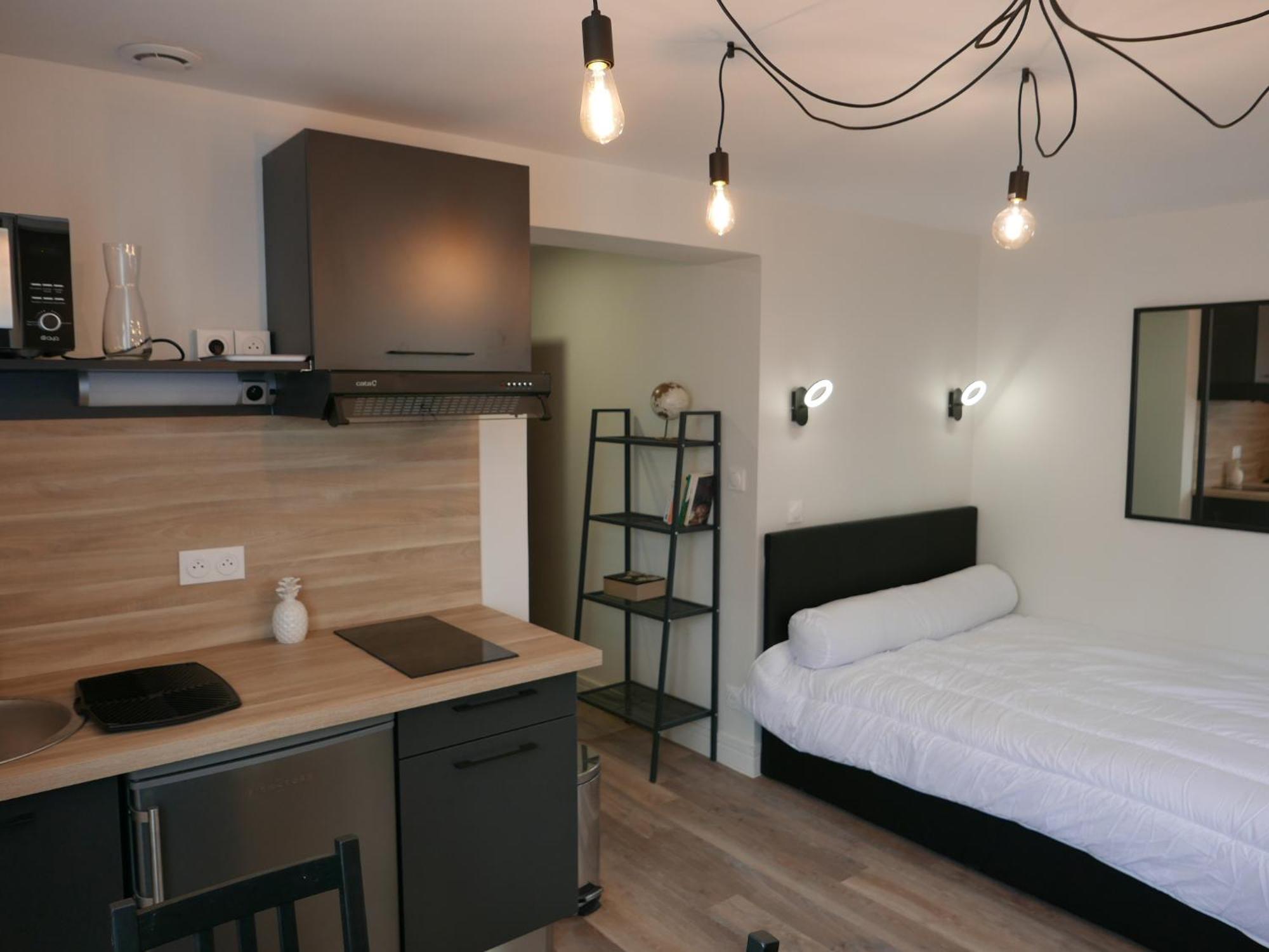 Au 3 Rue Manhes Apartment Алби Екстериор снимка