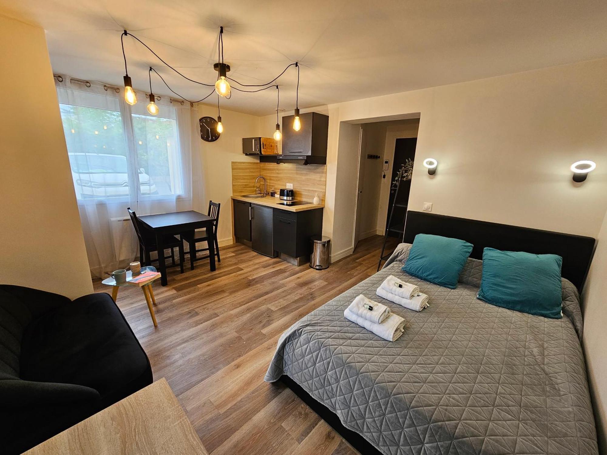 Au 3 Rue Manhes Apartment Алби Екстериор снимка